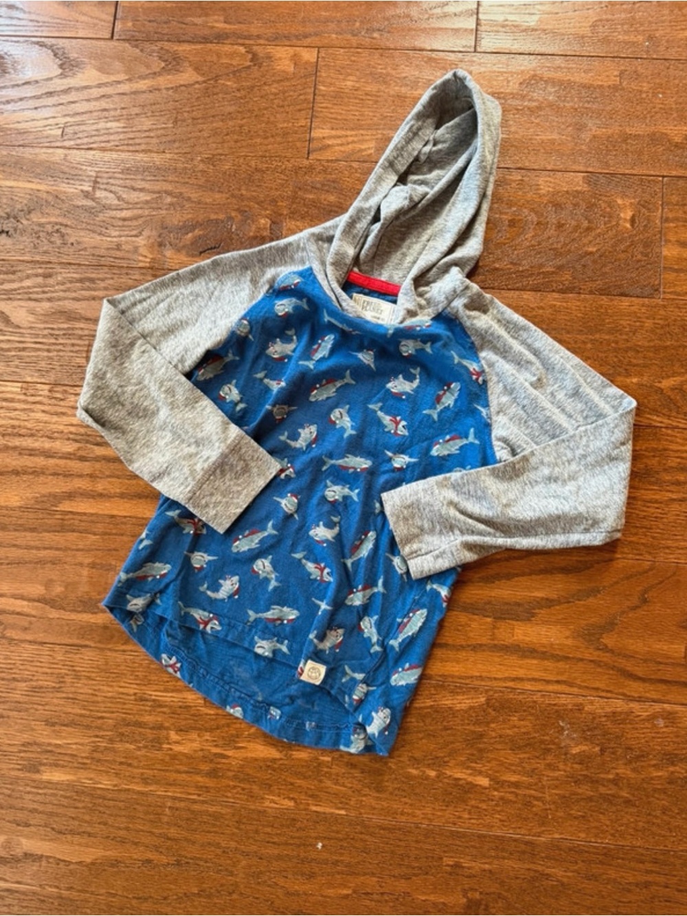 Free Planet Shark Kids Hoodie - Blue & Gray